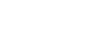 Bountiful Bicycle